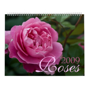Kalender för ro 2009