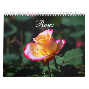 Kalender för ro 2012