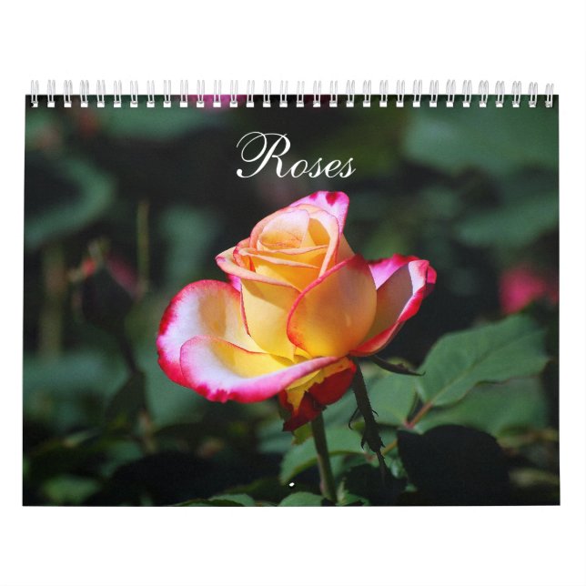 Kalender för ro 2012 (Omslag)
