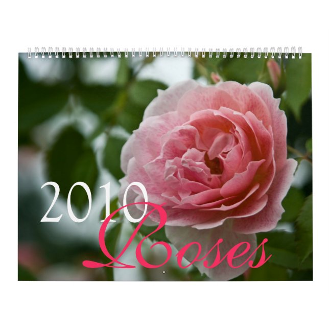 Kalender för rosa ros 2010 (Omslag)