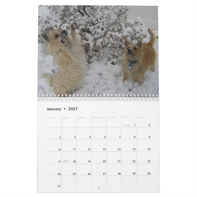 Kalender för röseTerrier 2010 (Jan 2027)