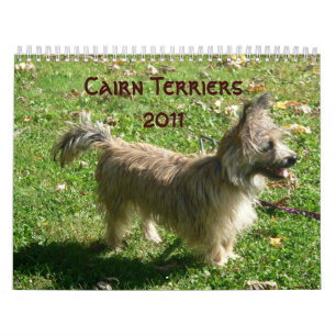 Kalender för röseTerriers 2011