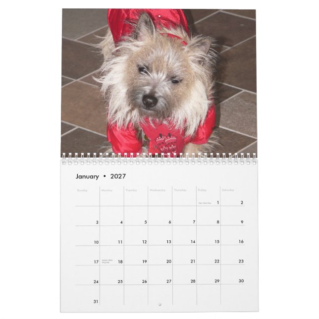 Kalender för röseTerriers 2012 (Jan 2027)