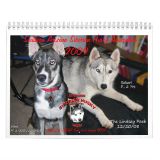 Kalender för SASHA 2009