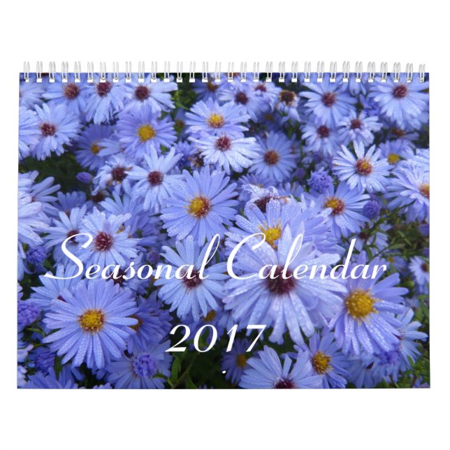 Kalender för säsong 2017 (Omslag)
