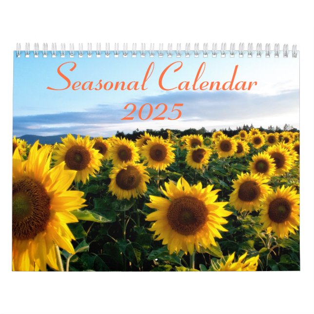 Kalender för säsong 2025 (Omslag)