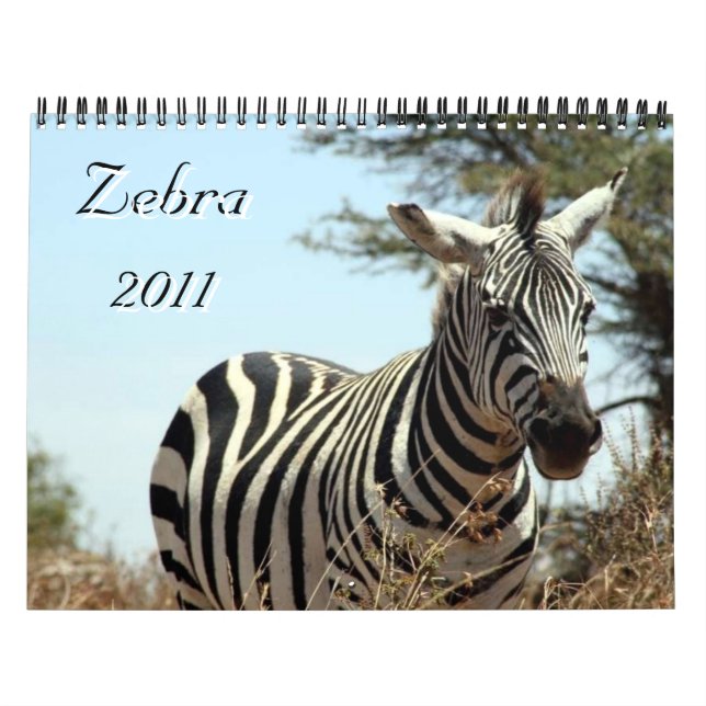 kalender för sebra 2011 (Omslag)