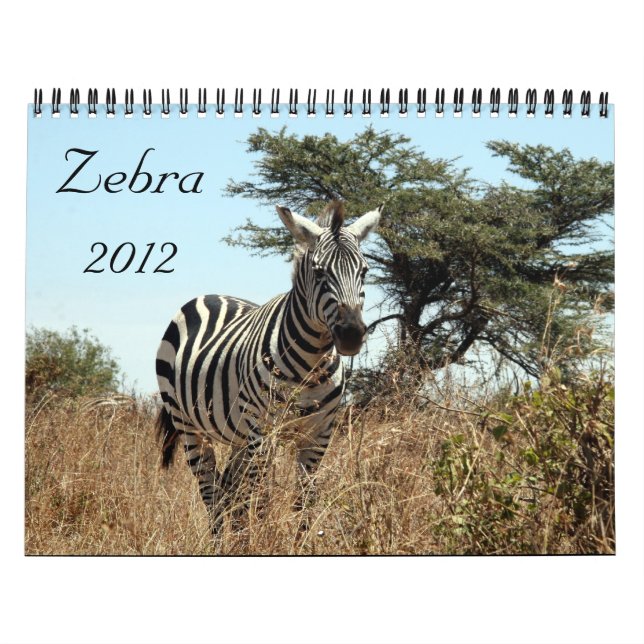 kalender för sebra 2012 (Omslag)