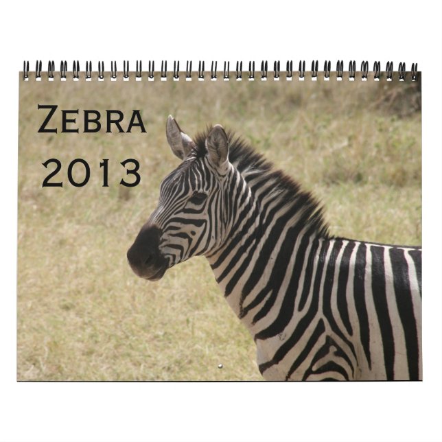 kalender för sebra 2013 (Omslag)