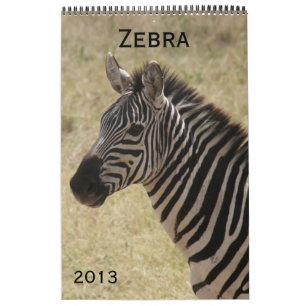 kalender för sebra 2013