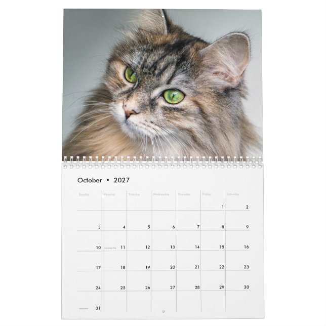 Kalender för sibiriska katter 2019 (Oct 2027)