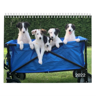 Kalender för Silken Windhounds (valpar) 2022