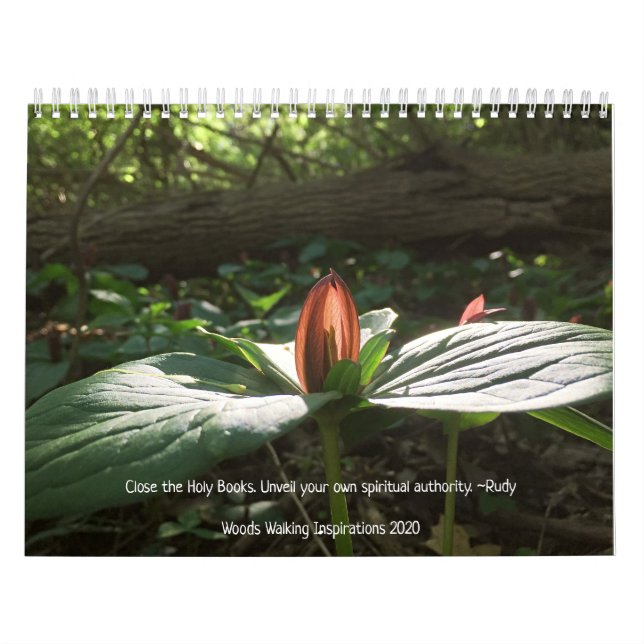 Kalender för Skogen Walking Inspiron 2020 (Omslag)