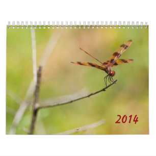 Kalender för slända 2014 och Damselfly
