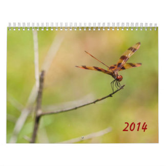 Kalender för slända 2014 och Damselfly