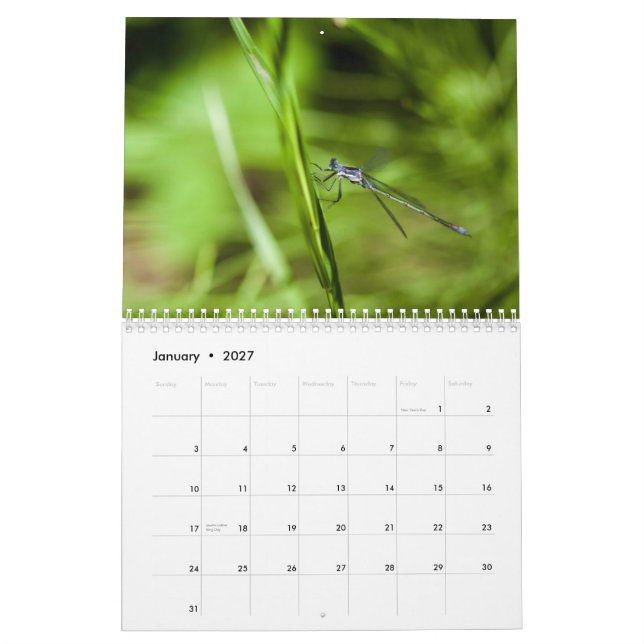 Kalender för slända 2014 och Damselfly (Jan 2027)