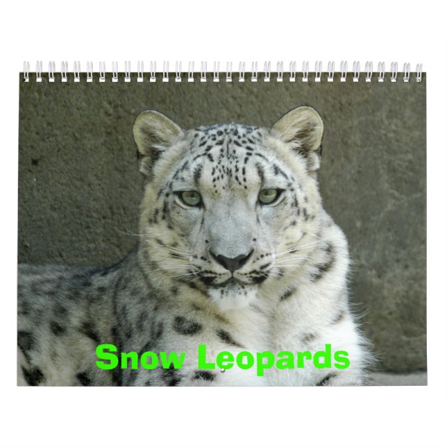 Kalender för snöLeopards, snöLeopards (Omslag)