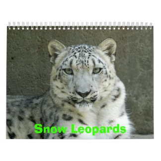 Kalender för snöLeopards, snöLeopards