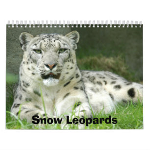 Kalender för snöLeopards, snöLeopards