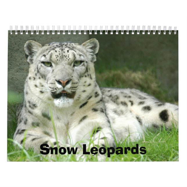 Kalender för snöLeopards, snöLeopards (Omslag)