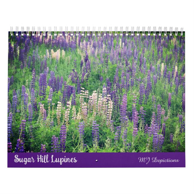 Kalender för sockerrör Backe Lupines (Omslag)