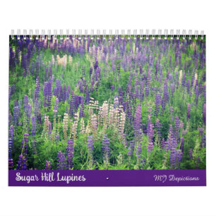 Kalender för sockerrör Backe Lupines