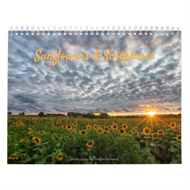 Kalender för solblommor och skript (Omslag)