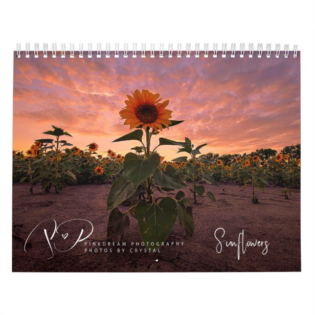 Kalender för solblommor på resande fot (Omslag)