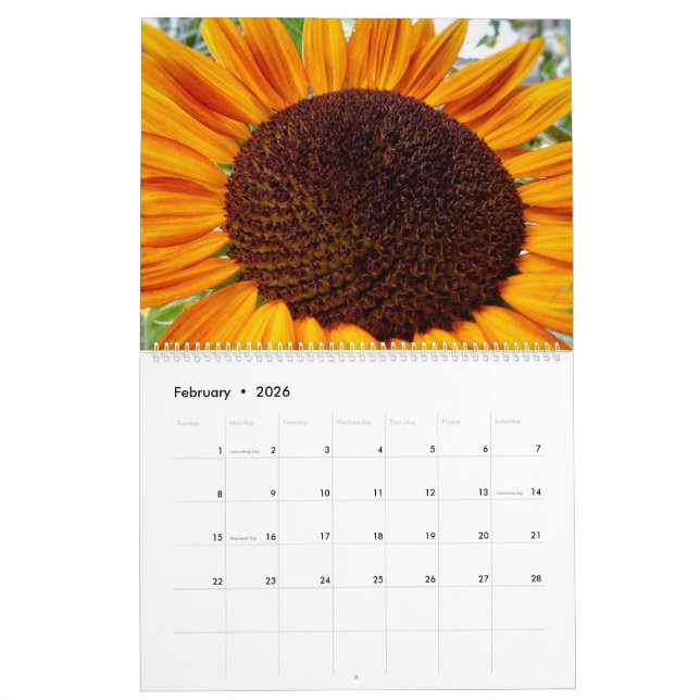Kalender för solrosblommor 2020 (Feb 2026)