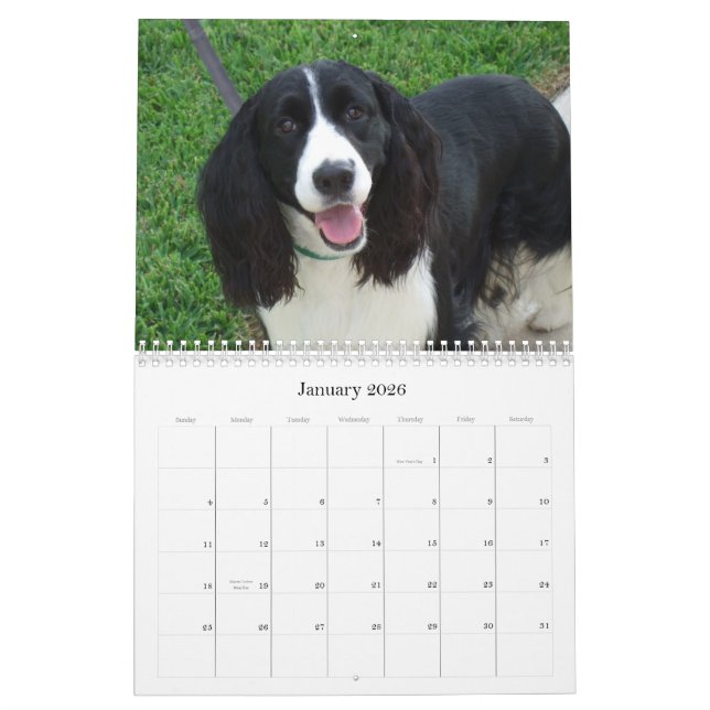 Kalender för Spaniel för engelsk Springer 2009 (Jan 2026)