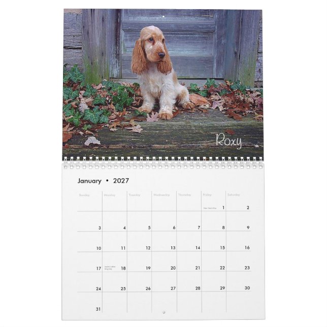 Kalender för Spaniel för Y-Fnurra (Jan 2027)