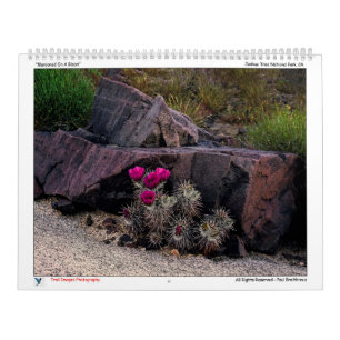 Kalender för spårfoto i Bilder