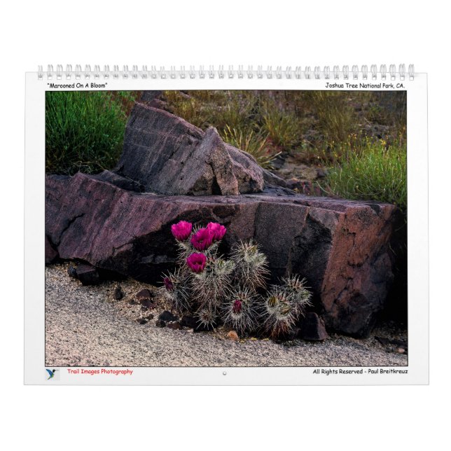 Kalender för spårfoto i Bilder (Omslag)