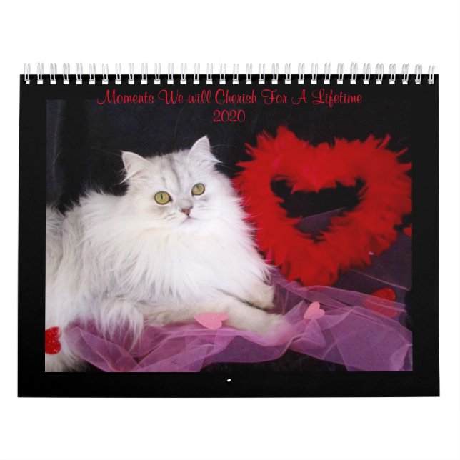 Kalender för Speciellare moment från iCatz (Omslag)