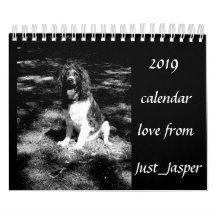 Kalender för Springerspaniel