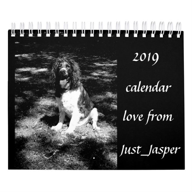 Kalender för Springerspaniel (Omslag)