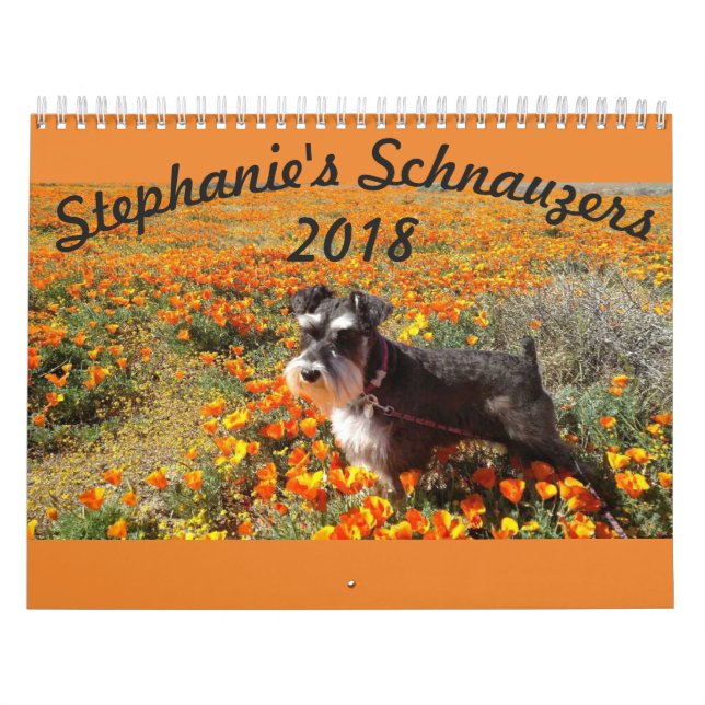 Kalender för Stephanies Schnauzers 2018 (Omslag)