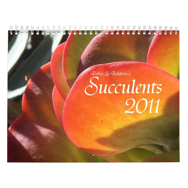 Kalender för suckulenter 2011 (Omslag)