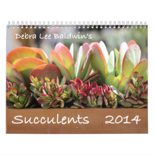 Kalender för suckulenter 2014 av Debra Lee Baldwi