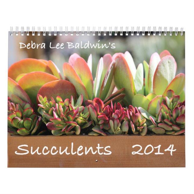 Kalender för suckulenter 2014 av Debra Lee Baldwin (Omslag)