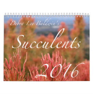 Kalender för suckulenter 2016 av Debra Lee Baldwi