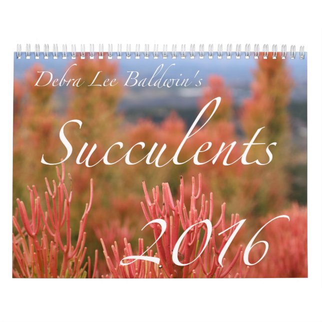 Kalender för suckulenter 2016 av Debra Lee Baldwin (Omslag)