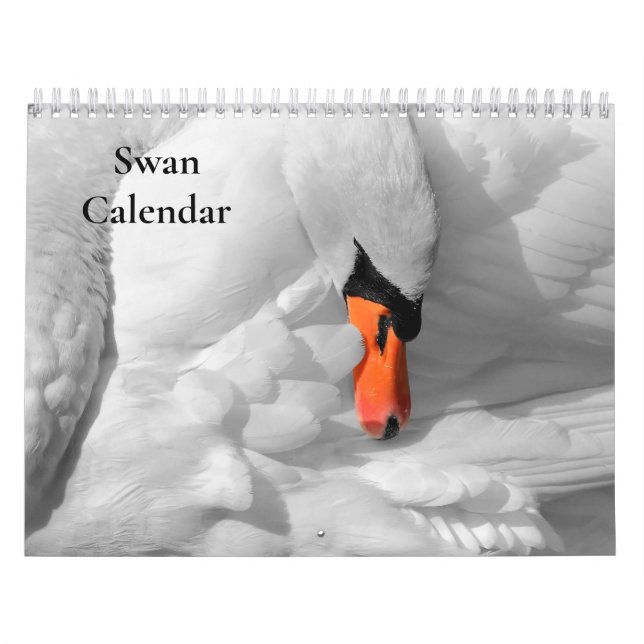 Kalender för svan 2025 (Omslag)