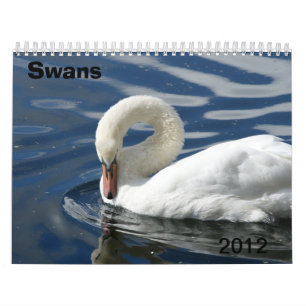 Kalender för svanar 2012