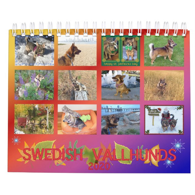 Kalender för svenska valhund 2020 (Baksida)