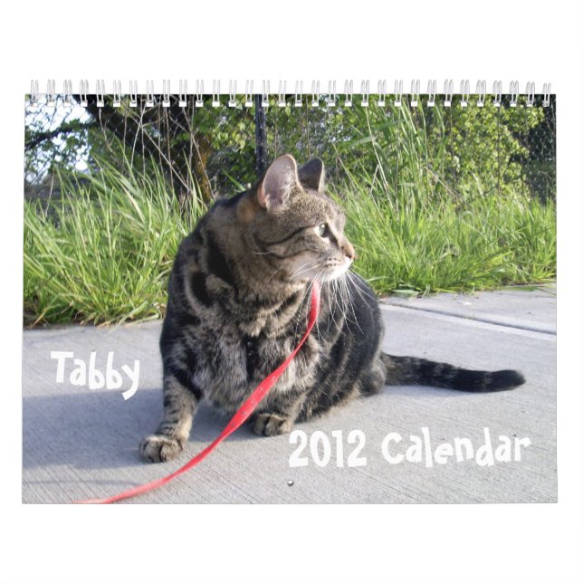 Kalender för tabby katt 2012 (Omslag)