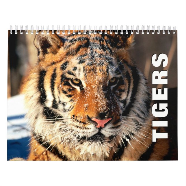 Kalender för tigreringsmur (Omslag)
