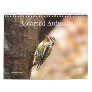 Kalender för tilldelade djur
