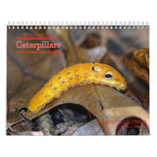 Kalender för trädgårdserieCaterpillars