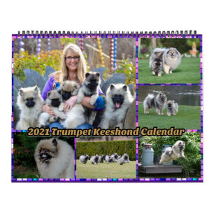 Kalender för trumpet Keeshond 2021